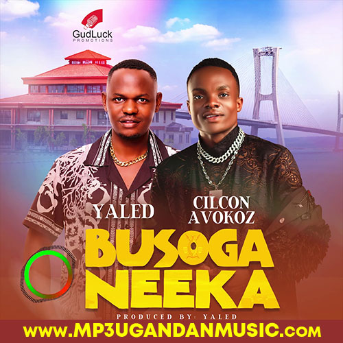 Basoga Neeka-Yaled x Cilcon Avoko